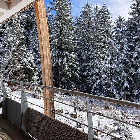 Studio Chamrousse 1700 Pour 4 Personnes - Au Calme - Avec Wifi ภายนอก รูปภาพ