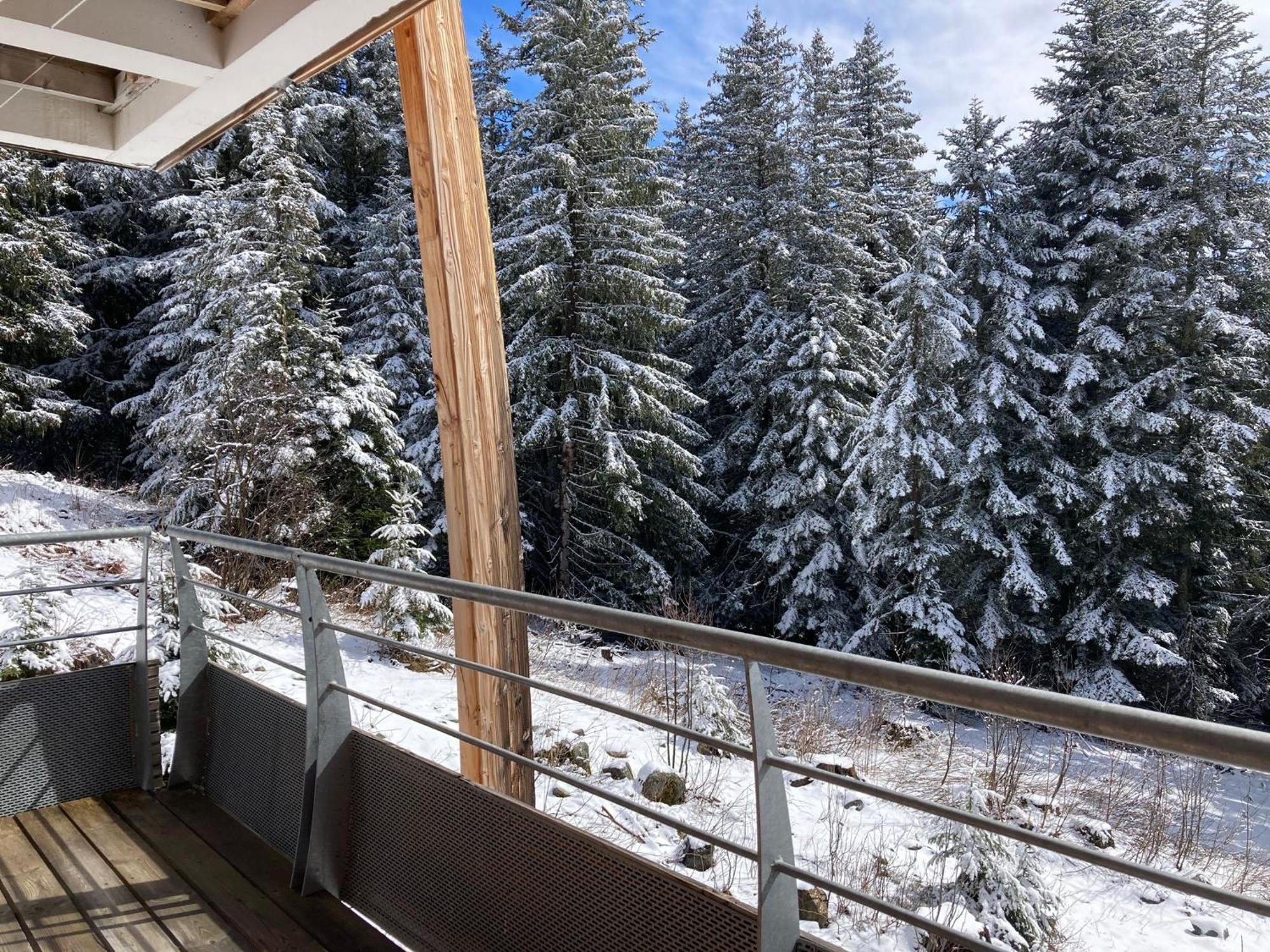 Studio Chamrousse 1700 Pour 4 Personnes - Au Calme - Avec Wifi ภายนอก รูปภาพ